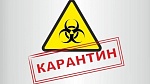 Режим работы во время карантина