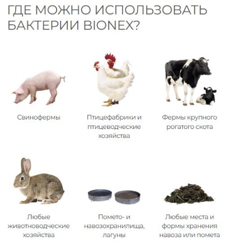 Bionex Animal WT 1 кг. от производителя ООО «Зелёная планета» фото 3